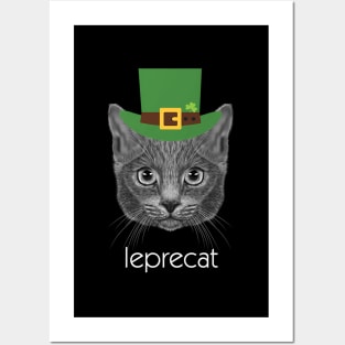 Leprechaun Cat St Patricks Day Posters and Art